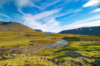 İsveç 'teki Sarek Ulusal Parkı' nda küçük, kayalık bir dağ deresi. Kuzey Avrupa 'da su akışı olan güzel bir yaz manzarası..