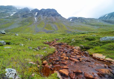 İsveç 'teki Sarek Ulusal Parkı' nda küçük, kayalık bir dağ deresi. Kuzey Avrupa 'da su akışı olan güzel bir yaz manzarası..