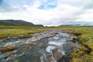 İsveç 'teki Sarek Ulusal Parkı' nda küçük, kayalık bir dağ deresi. Kuzey Avrupa 'da su akışı olan güzel bir yaz manzarası..