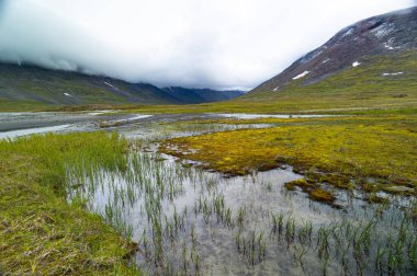 İsveç 'teki Sarek Ulusal Parkı' nda küçük, kayalık bir dağ deresi. Kuzey Avrupa 'da su akışı olan güzel bir yaz manzarası..