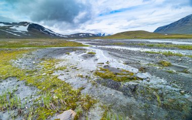 İsveç 'teki Sarek Ulusal Parkı' nda küçük, kayalık bir dağ deresi. Kuzey Avrupa 'da su akışı olan güzel bir yaz manzarası..
