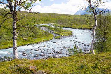 İsveç 'teki Sarek Ulusal Parkı' nda çalkantılı bir dağ nehri. Kuzey Avrupa 'da suyu olan bir yaz manzarası.
