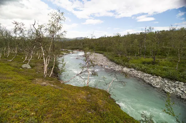 İsveç 'teki Sarek Ulusal Parkı' nda çalkantılı bir dağ nehri. Kuzey Avrupa 'da suyu olan bir yaz manzarası.