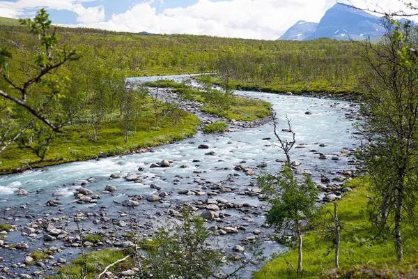 İsveç 'teki Sarek Ulusal Parkı' nda çalkantılı bir dağ nehri. Kuzey Avrupa 'da suyu olan bir yaz manzarası.