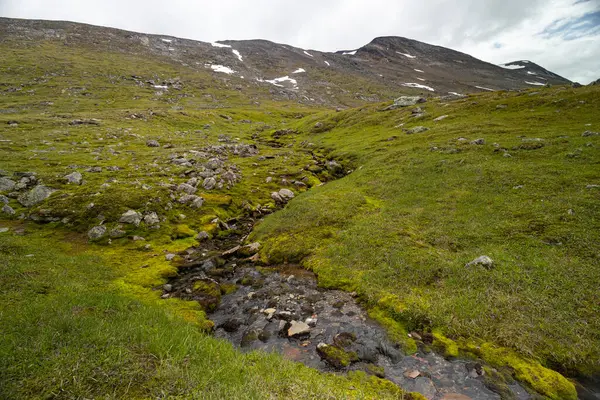 Mały Skalisty Górski Potok Parku Narodowym Sarek Szwecja Piękny Letni Zdjęcia Stockowe bez tantiem