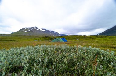 İsveç 'teki Sarek Ulusal Parkı' nda çalılıkları olan güzel bir manzara. Kuzey Avrupa 'nın vahşi yaz manzarası.