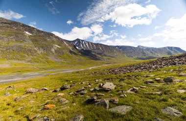 Nehirli Sarek Ulusal Parkı 'nın güzel bir yaz manzarası. Kuzey Avrupa 'nın vahşi manzarası.