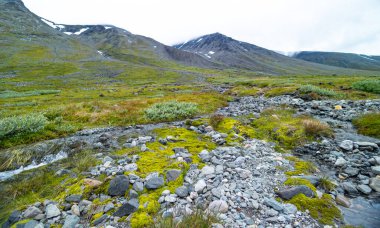 Nehirli Sarek Ulusal Parkı 'nın güzel bir yaz manzarası. Kuzey Avrupa 'nın vahşi manzarası.