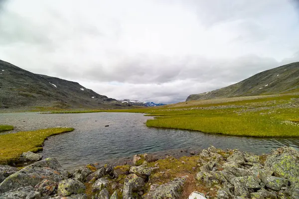 Nehirli Sarek Ulusal Parkı 'nın güzel bir yaz manzarası. Kuzey Avrupa 'nın vahşi manzarası.