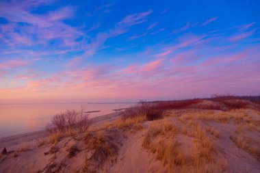 Baltık Denizi 'nin kumullarında yetişen kuru otlarla güzel bir günbatımı manzarası. Kuzey Avrupa 'da renklendirme manzarası.