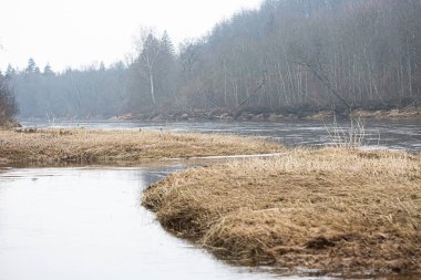 Nehirli güzel bir ilkbahar manzarası. Kuzey Avrupa 'nın doğal kırsal manzarası.