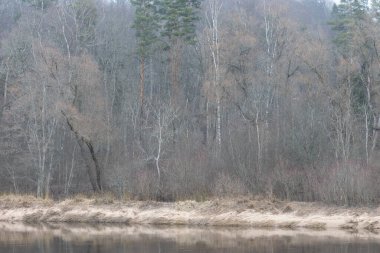 Nehirli güzel bir ilkbahar manzarası. Kuzey Avrupa 'nın doğal kırsal manzarası.
