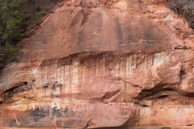 Letonya 'daki Gauja Ulusal Parkı' nda nehir kıyısında güzel bir kumtaşı kayalığı. Kuzey Avrupa 'nın ilkbahar manzarası.