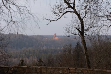 Letonya 'da güzel bir erken bahar ormanlık arazisi. Kuzey Avrupa 'nın doğal bahar manzarası.