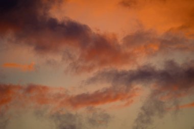 Letonya, Avrupa 'da güneşin doğuşu sırasında güzel bir sabah gökyüzü. Kuzey Avrupa 'nın yaz manzarası.