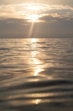 Güneşin yansımalarıyla çok sakin bir Baltık deniz suyu yüzeyi. Kuzey Avrupa 'nın güzel yaz manzarası.