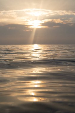 Güneşin yansımalarıyla çok sakin bir Baltık deniz suyu yüzeyi. Kuzey Avrupa 'nın güzel yaz manzarası.