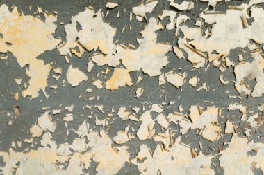 Terk edilmiş bir binanın duvarında eski, soyulmuş bir boya. Çatlak boya dokusu.