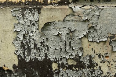 Terk edilmiş bir binanın duvarında eski, soyulmuş bir boya. Çatlak boya dokusu.