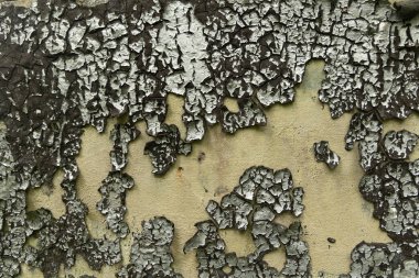 Terk edilmiş bir binanın duvarında eski, soyulmuş bir boya. Çatlak boya dokusu.