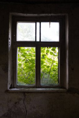 Letonya, Avrupa 'da kırsal bir çiftliğin eski, kırık bir penceresi. Yıkık dökük, terk edilmiş bir ev..