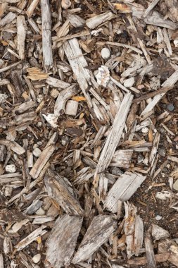 Yerde çok güzel bir odun parçası var. Kırsal alanların açık hava dokuları.