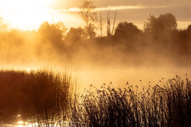 Gökyüzüne karşı çayır siluetleri olan güzel bir gün doğumu manzarası. Letonya 'nın kırsal kesiminde sabah.