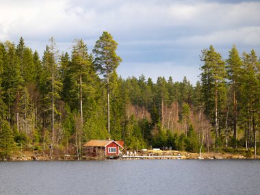İsveç kırsalında geleneksel İskandinav ahşap evi. Kuzey Avrupa 'nın doğal bahar manzarası.