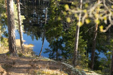 İsveç ormanlarındaki göl kıyısında güneşli güzel bir gün. İskandinavya 'nın doğal bahar manzarası.
