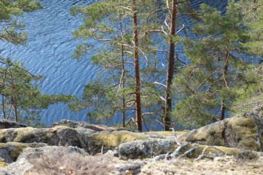 İsveç ormanlarındaki göl kıyısında güneşli güzel bir gün. İskandinavya 'nın doğal bahar manzarası.