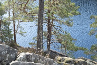 İsveç ormanlarındaki göl kıyısında güneşli güzel bir gün. İskandinavya 'nın doğal bahar manzarası.