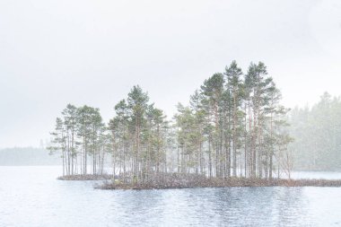 İsveç ormanlarındaki bir gölün karlı ilkbahar manzarası. Scandianavian ormanlarına kar yağıyor.