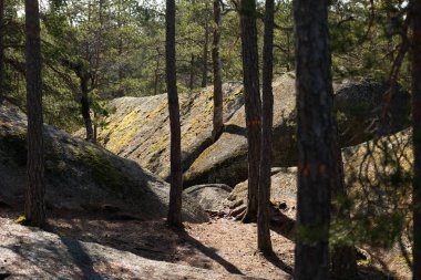 İsveç 'teki Tividen Ulusal Parkı' nda çok güzel hude kayalar var. İskandinavya 'daki doğal ilkbahar ormanı.