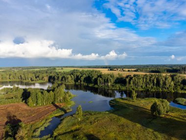 Yeşil yaz ağaçları ve tarlalar arasında küçük bir göl manzarası. Letonya, Kuzey Avrupa 'da kırsal alanların doğal manzarası.