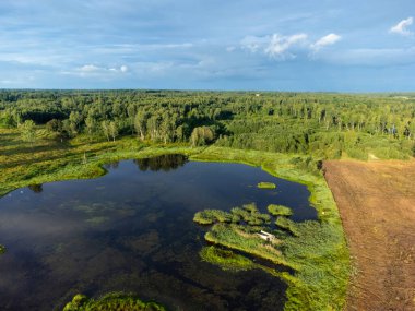 Yeşil yaz ağaçları ve tarlalar arasında küçük bir göl manzarası. Letonya, Kuzey Avrupa 'da kırsal alanların doğal manzarası.