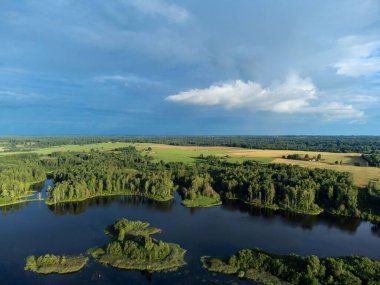 Yeşil yaz ağaçları ve tarlalar arasında küçük bir göl manzarası. Letonya, Kuzey Avrupa 'da kırsal alanların doğal manzarası.