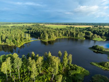 Yeşil yaz ağaçları ve tarlalar arasında küçük bir göl manzarası. Letonya, Kuzey Avrupa 'da kırsal alanların doğal manzarası.