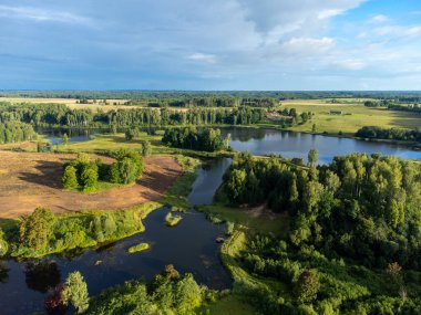 Yeşil yaz ağaçları ve tarlalar arasında küçük bir göl manzarası. Letonya, Kuzey Avrupa 'da kırsal alanların doğal manzarası.