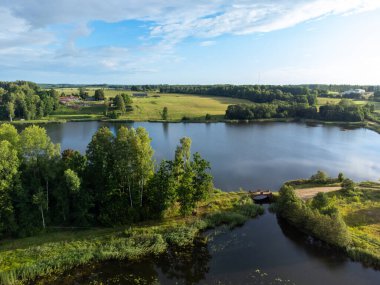 Yeşil yaz ağaçları ve tarlalar arasında küçük bir göl manzarası. Letonya, Kuzey Avrupa 'da kırsal alanların doğal manzarası.