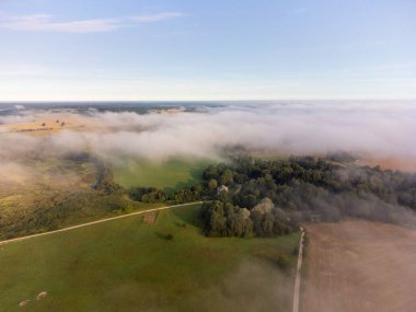Letonya kırsalının yaz manzarasını kaplayan yumuşak beyaz sis. Sis bulutlarının hava fotoğrafçılığı.