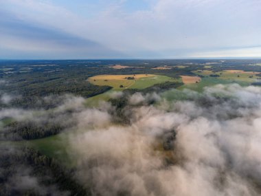 Letonya kırsalının yaz manzarasını kaplayan yumuşak beyaz sis. Sis bulutlarının hava fotoğrafçılığı.