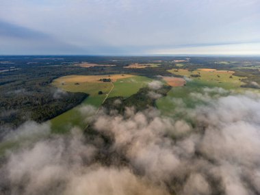 Letonya kırsalının yaz manzarasını kaplayan yumuşak beyaz sis. Sis bulutlarının hava fotoğrafçılığı.