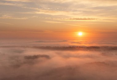 Letonya 'nın kırsal kesiminin güzel sisli sabah hava durumu. Kuzey Avrupa 'da doğal yaz manzarası.