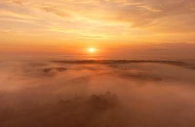 Letonya 'nın kırsal kesiminin güzel sisli sabah hava durumu. Kuzey Avrupa 'da doğal yaz manzarası.