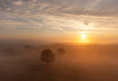 Letonya 'nın kırsal kesiminin güzel sisli sabah hava durumu. Kuzey Avrupa 'da doğal yaz manzarası.