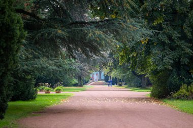 Düsseldorf, Almanya 'da Nordpark' ta güzel bir sonbahar günü. Ağaçlar ve bitkiler ile halka açık park manzarası.