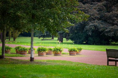 Düsseldorf, Almanya 'da Nordpark' ta güzel bir sonbahar günü. Ağaçlar ve bitkiler ile halka açık park manzarası.