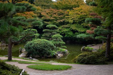 Nordpark, Düsseldorf, Almanya 'da güzel bir doğulu bahçe manzarası. Kamu parkında sonbahar manzarası.