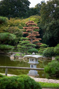Nordpark, Düsseldorf, Almanya 'da güzel bir doğulu bahçe manzarası. Kamu parkında sonbahar manzarası.