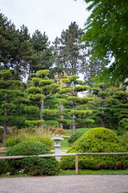 Nordpark, Düsseldorf, Almanya 'da güzel bir doğulu bahçe manzarası. Kamu parkında sonbahar manzarası.